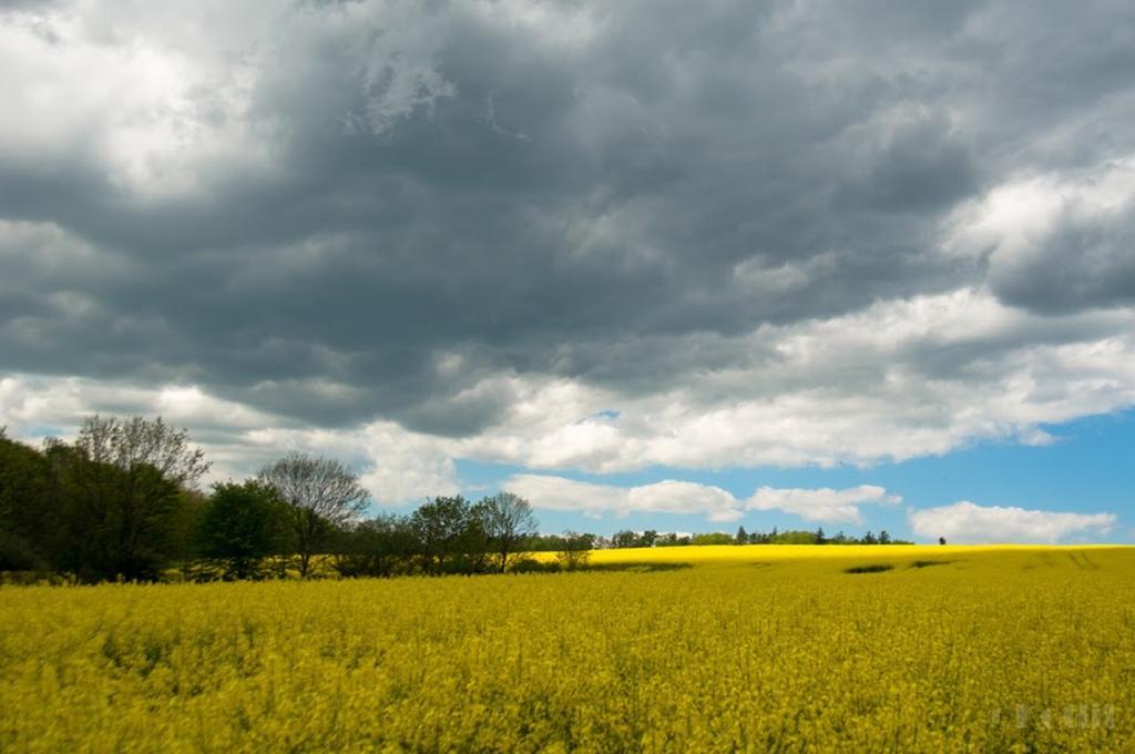 Penzion Na Kopci Vresina Vřesina Exterior foto
