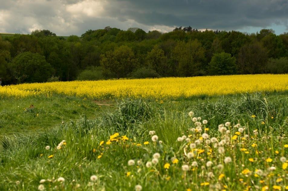 Penzion Na Kopci Vresina Vřesina Exterior foto